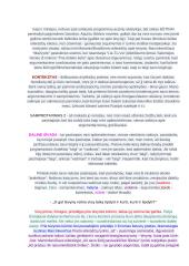 Kaip rašyti samprotavimo rašinį? 7 puslapis