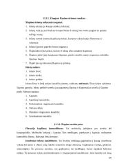 Biologijos egzamino pasiruošimas 2 puslapis