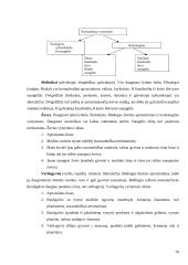 Biologijos egzamino pasiruošimas 12 puslapis