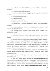 Biologijos egzamino pasiruošimas 20 puslapis