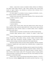 Biologijos egzamino pasiruošimas 7 puslapis