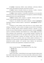 Biologijos egzamino pasiruošimas 9 puslapis