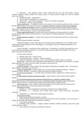 Teisės sąvoka ir šaltiniai. Norminiai aktai 4 puslapis