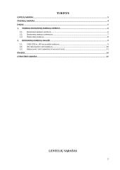 Burbulai ekonomikoje 2 puslapis