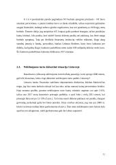 Burbulai ekonomikoje 11 puslapis