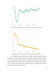 Burbulai ekonomikoje 12 puslapis