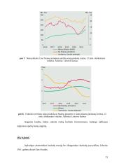 Burbulai ekonomikoje 13 puslapis