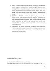 Burbulai ekonomikoje 14 puslapis