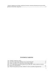 Burbulai ekonomikoje 3 puslapis