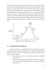 Burbulai ekonomikoje 6 puslapis