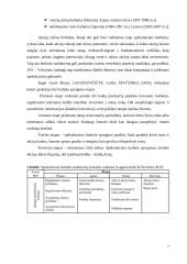 Burbulai ekonomikoje 7 puslapis