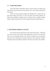 Burbulai ekonomikoje 8 puslapis