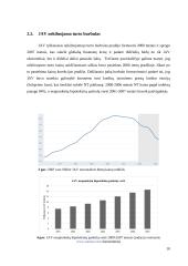 Burbulai ekonomikoje 10 puslapis