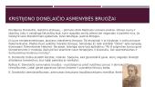 Kristijono Donelaičio biografija bei kūrybinis palikimas 3 puslapis