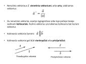 Viskas apie vektorius 3 puslapis