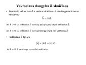 Viskas apie vektorius 8 puslapis