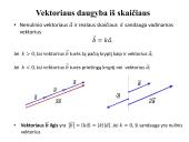 Viskas apie vektorius 9 puslapis
