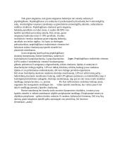 Bakterijų sandara, klasifikacija ir morfologija 4 puslapis