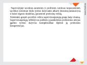 Supervizija socialinio darbo studijose kaip profesinė repeticija 13 puslapis