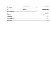 Kokybiški raštai – įmonės įvaizdžio dalis 2 puslapis