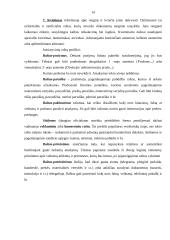 Kokybiški raštai – įmonės įvaizdžio dalis 14 puslapis