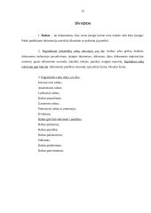 Kokybiški raštai – įmonės įvaizdžio dalis 15 puslapis