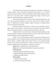 Kokybiški raštai – įmonės įvaizdžio dalis 3 puslapis