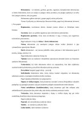 Kokybiški raštai – įmonės įvaizdžio dalis 5 puslapis