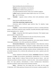 Kokybiški raštai – įmonės įvaizdžio dalis 6 puslapis