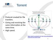 Varied Application of P2P Technology: from Torrents to Skype 2 puslapis