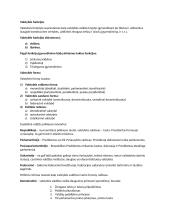 Konstitucinės teisės paskaitų medžiaga 15 puslapis