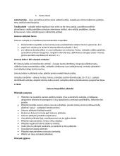 Konstitucinės teisės paskaitų medžiaga 16 puslapis