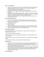 Konstitucinės teisės paskaitų medžiaga 20 puslapis