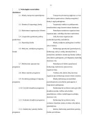 N darbuotojų motyvacijos didinimo planas 11 puslapis