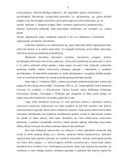 N darbuotojų motyvacijos didinimo planas 9 puslapis