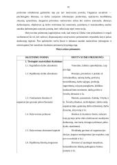 N darbuotojų motyvacijos didinimo planas 10 puslapis