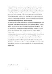 Dean Swift’s Ale – Food Processing Assignment 4 puslapis