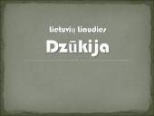 Lietuvių Liaudies Dzūkija