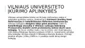 Vilniaus Universiteto įkūrimas, struktūra bei raida 3 puslapis