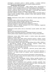 Turizmo plėtra 11 puslapis