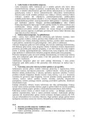 Turizmo plėtra 13 puslapis