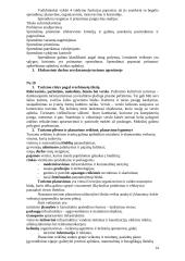 Turizmo plėtra 14 puslapis