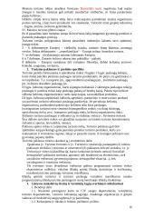 Turizmo plėtra 16 puslapis