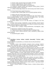 Turizmo plėtra 17 puslapis