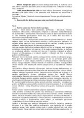 Turizmo plėtra 19 puslapis