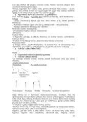 Turizmo plėtra 20 puslapis
