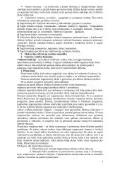 Turizmo plėtra 3 puslapis