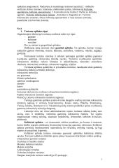 Turizmo plėtra 7 puslapis