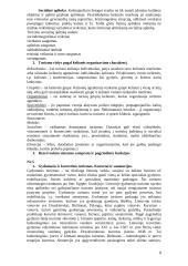 Turizmo plėtra 8 puslapis