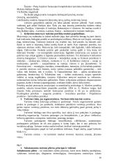 Turizmo plėtra 10 puslapis